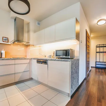 Foka, Sun & Snow * Hel